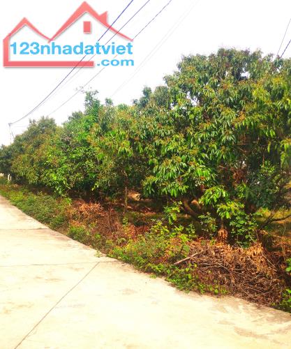 Đất nền bán tại Đường 31, Xã Kiên Thành, Lục Ngạn, Bắc Giang, 550 triệu, 375 m2