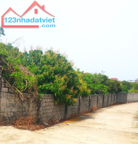 Đất nền bán tại Đường 31, Xã Kiên Thành, Lục Ngạn, Bắc Giang, 550 triệu, 375 m2 - 1