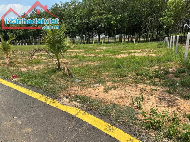Bán Đất khu vực Bình Dương,  Bến Cát, Tân Định - 2