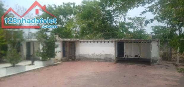 SỞ HỮU LÔ ĐẤT DT 5.145,3M2, THỔ CƯ 100M2, GIÁ TỐT NHẤT XÃ CHÂU PHA, PHÚ MỸ - 2