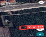 BÁN NGAY LÔ ĐẤT 2.000M² GIÁ CHỈ 2 TRIỆU/M² TẠI LONG TÂN – NHƠN TRẠCH