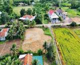 Bán 130m2 full thổ cư nằm sát đường nhựa Lạc An Ninh Thọ Ninh Hòa 0985451850