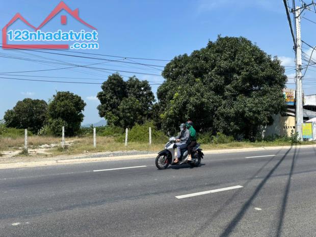 Bán gấp 4000 met vuông đất mặt tiền Quốc Lộ 1A Cam Lâm Khánh Hòa giá cực rẻ - 1