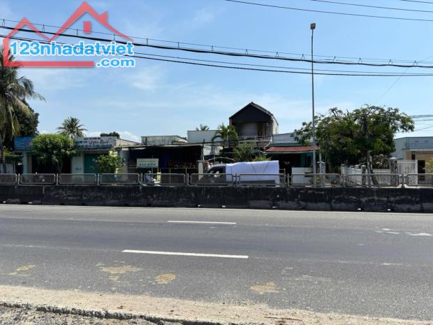 Bán gấp 4000 met vuông đất mặt tiền Quốc Lộ 1A Cam Lâm Khánh Hòa giá cực rẻ - 2