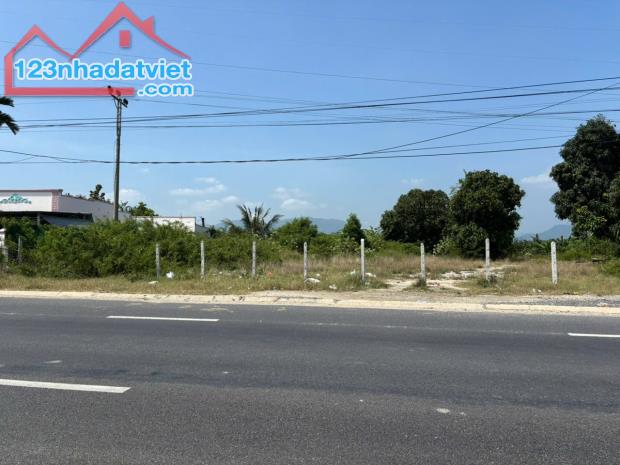 Bán gấp 4000 met vuông đất mặt tiền Quốc Lộ 1A Cam Lâm Khánh Hòa giá cực rẻ - 3