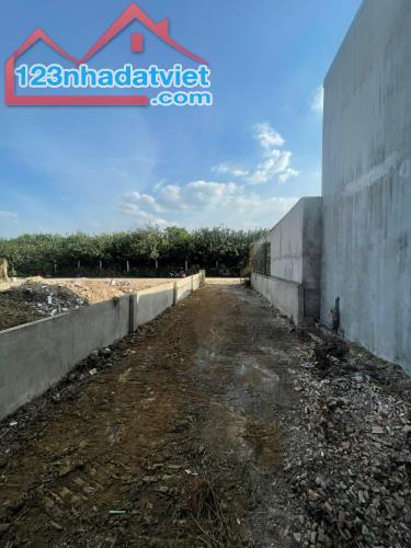 Chỉ còn 1 lô duy nhất 115m2 ngay ngã tư bán cá (X.Tân Bình) chỉ 1,350 tỉ