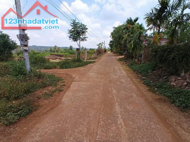 CƠ HỘI ĐẦU TƯ VÀNG GIÁ SIÊU NGỘP. QL 29 XÃ EA DRÔNG TX BUÔN HỒ, ĐĂK LĂK