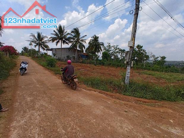 CƠ HỘI ĐẦU TƯ VÀNG GIÁ SIÊU NGỘP. QL 29 XÃ EA DRÔNG TX BUÔN HỒ, ĐĂK LĂK - 1