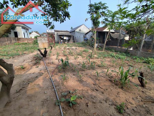 Bán 650M bám sông Đà siêu đẹp_250M thổ cư đường 2 ô tô tránh_Ba Vì Hà Nội_3,x tỷ