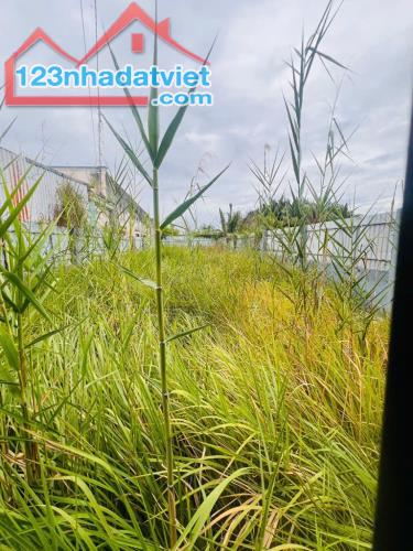 BÁN ĐẤT NHÀ BÈ 254M2 THỔ VƯỜN - MẶT TIỀN ĐƯỜNG XÁ HIỆP PHƯỚC GIÁ 4TY6 TL - 2
