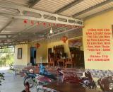 CHÍNH CHỦ CẦN BÁN  LÔ ĐẤT Vườn Trái Cây Lâu Năm  tại Thôn Lâm Phú, Xã Lâm Sơn, Ninh Sơn,