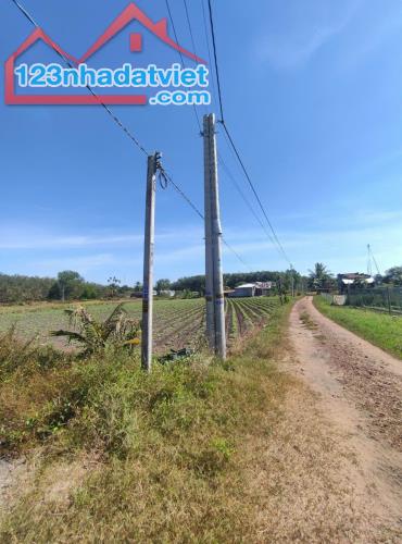 Chính Chủ Cần Bán Đất Có Nhà Tại Xã Phước Minh, Huyện Dương Minh Châu, Tây Ninh.
