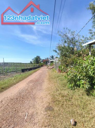 Chính Chủ Cần Bán Đất Có Nhà Tại Xã Phước Minh, Huyện Dương Minh Châu, Tây Ninh. - 4