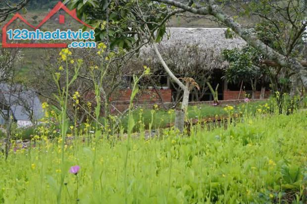 Bán Đất View Đẹp Tại Khu Du Lịch Cộng Đồng Tổ Vặt Hồng, P. Mường Sang, TX Mộc Châu