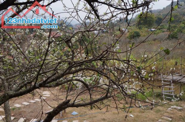 Bán Đất View Đẹp Tại Khu Du Lịch Cộng Đồng Tổ Vặt Hồng, P. Mường Sang, TX Mộc Châu - 2
