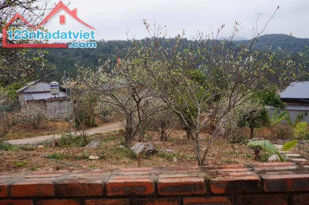 Bán Đất View Đẹp Tại Khu Du Lịch Cộng Đồng Tổ Vặt Hồng, P. Mường Sang, TX Mộc Châu - 3