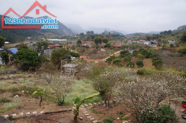 Bán Đất View Đẹp Tại Khu Du Lịch Cộng Đồng Tổ Vặt Hồng, P. Mường Sang, TX Mộc Châu - 4