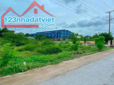 BÁN 5 LÔ 25X50=1250M2 THỔ CƯ 500M, SỔ RIÊNG, NGAY TRUNG TÂM CHỢ GIÁ 480TR