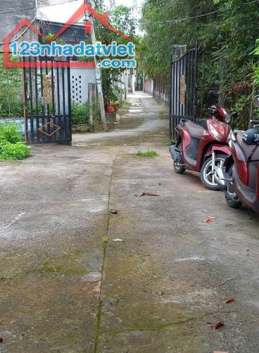 Bán nhà Phú Hưng Thành phố Bến Tre 262m 2PN - 1