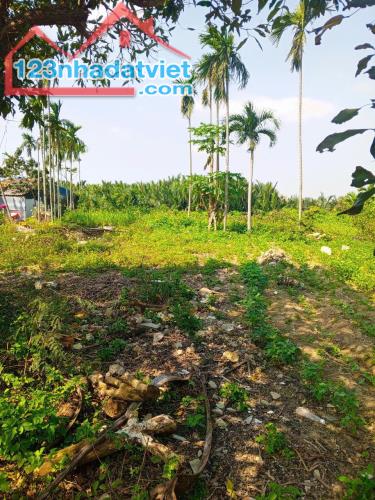 Chủ kẹt tiền cần bán lô đất tại MT đường DX 017 có 1000 m² đất ở., Cẩm Thanh giá 18 tỷ
