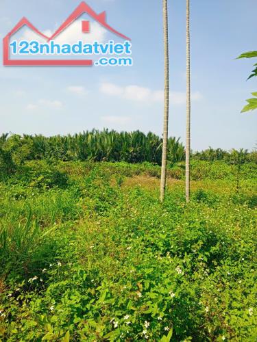Chủ kẹt tiền cần bán lô đất tại MT đường DX 017 có 1000 m² đất ở., Cẩm Thanh giá 18 tỷ - 2