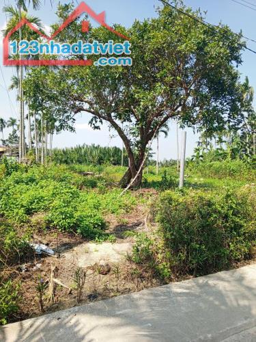 Chủ kẹt tiền cần bán lô đất tại MT đường DX 017 có 1000 m² đất ở., Cẩm Thanh giá 18 tỷ - 3