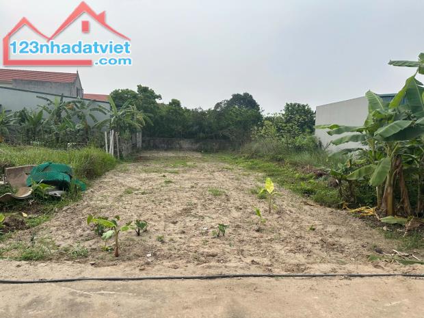 Mảnh đất đấu giá cực đẹp để đầu tư tại Khoái Châu, Hưng Yên, 23tr/m2, 220m2 - 1