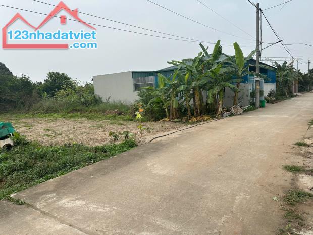 Mảnh đất đấu giá cực đẹp để đầu tư tại Khoái Châu, Hưng Yên, 23tr/m2, 220m2 - 2