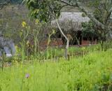 Bán Đất View Đẹp Tại Khu Du Lịch Cộng Đồng Tổ Vặt Hồng, P. Mường Sang, TX Mộc Châu