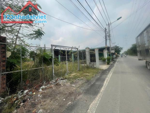 10455m2 đất mặt tiền đường Thanh Niên Hóc Môn giá 3.5 triệu/m2 - 1