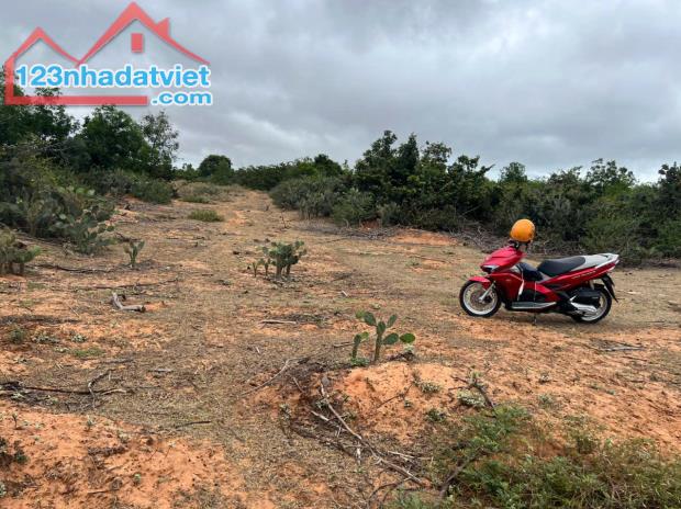 🔥 CHỈ 70 TRIỆU/1.000M² – SỞ HỮU NGAY LÔ ĐẤT LỚN GẦN BIỂN – SỔ HỒNG RIÊNG 🔥

📍 Vị trí: