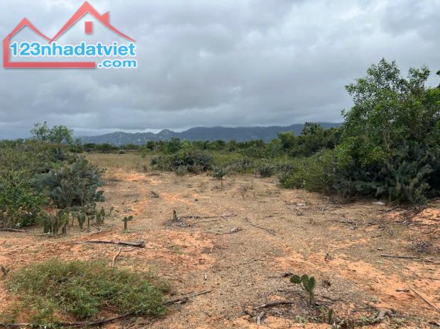 🔥 CHỈ 70 TRIỆU/1.000M² – SỞ HỮU NGAY LÔ ĐẤT LỚN GẦN BIỂN – SỔ HỒNG RIÊNG 🔥

📍 Vị trí: - 1