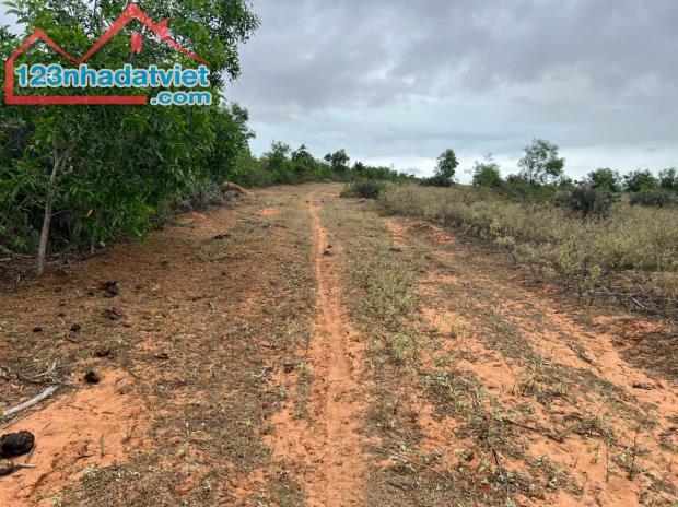 🔥 CHỈ 70 TRIỆU/1.000M² – SỞ HỮU NGAY LÔ ĐẤT LỚN GẦN BIỂN – SỔ HỒNG RIÊNG 🔥

📍 Vị trí: - 2