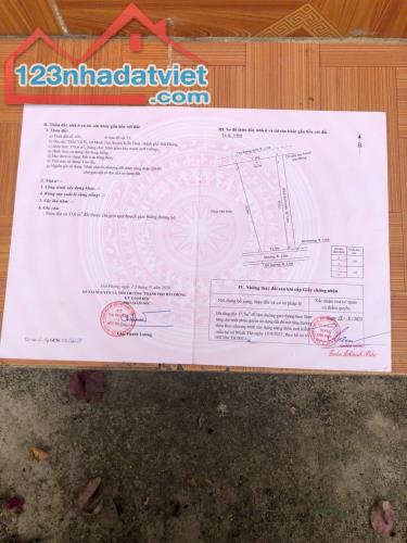 Bán đất tặng luôn căn nhà vườn siêu đẹp tại Vũ Vị, Minh Tân, Kiến Thụy, Hải Phòng