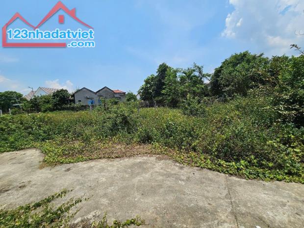 Bán đất Diên Lạc giá rẻ full thổ cư hẻm đường Tổ 2A gần Tỉnh Lộ 2 - 3