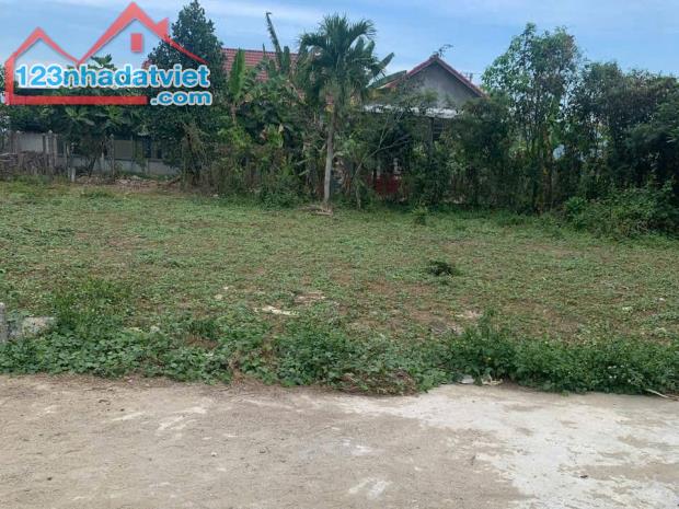Bán đất Diên Lạc giá rẻ full thổ cư hẻm đường Tổ 2A gần Tỉnh Lộ 2 - 4