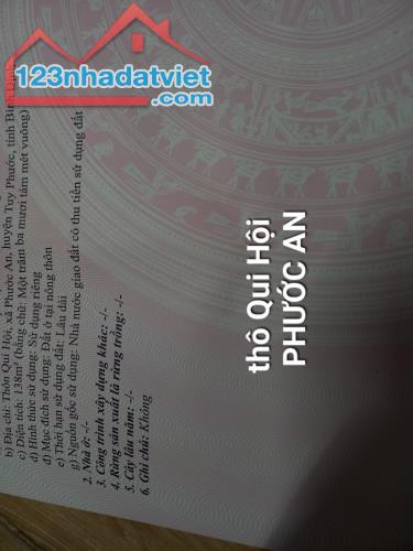 Bán lô đất cực đẹp 620Tr (DT:138mv) thôn QUI HỘI, PHƯỚC AN, TUY PHƯỚC, B Định - 3