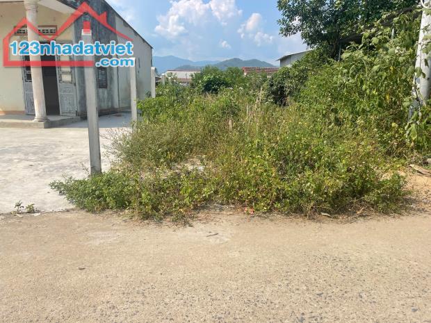 Bán đất Diên Đồng giá rẻ full thổ cư đường thông sát bên trục đường nhựa liên xã - 1