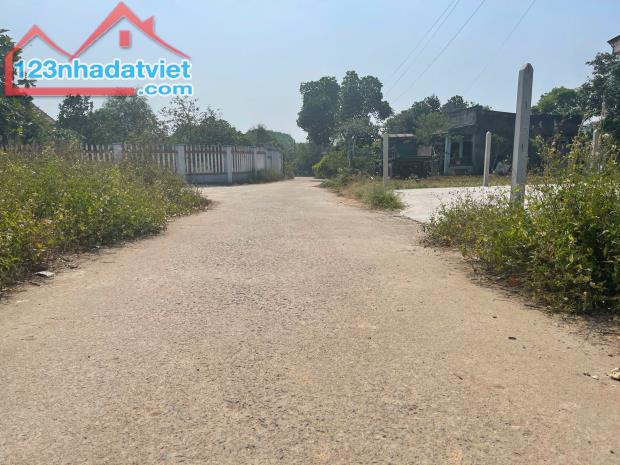 Bán đất Diên Đồng giá rẻ full thổ cư đường thông sát bên trục đường nhựa liên xã - 2