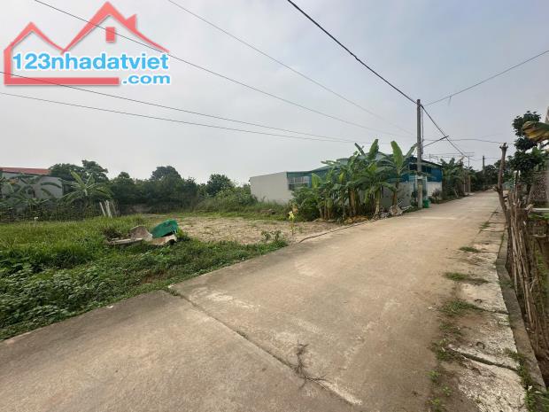 Duy nhất lô đất cực rẻ để đầu tư,trục chính đấu giá Khoái Châu,Hưng Yên,90m2,10tr/m2 - 2