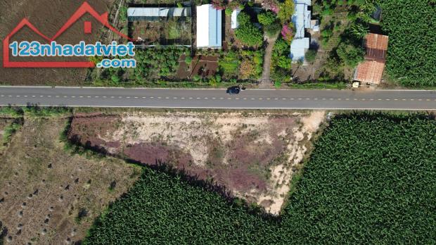 Sổ hồng sẵn với đất nền Bà Rịa-Vũng Tàu chỉ với 300 triệu sang tên ngay