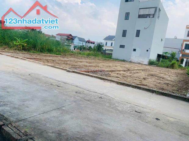 Bán đất tổ 9 thị trấn Quang Minh, Mê Linh. Gần KCN và trường CD Y Dược Tuệ Tĩnh - 1