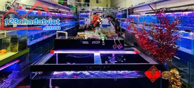 Quận 7 ! Sang Tiệm – Cửa Hàng Cá Cảnh , MT 51 nguyễn thị thập, p tân phú, Tel :