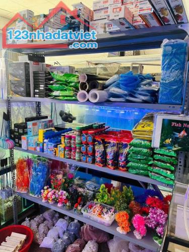 Quận 7 ! Sang Tiệm – Cửa Hàng Cá Cảnh , MT 51 nguyễn thị thập, p tân phú, Tel : - 1