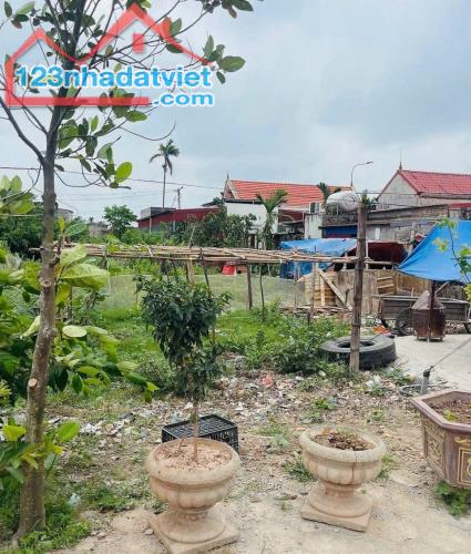 Bán đất Tân Thành - Dương Kinh - Hải Phòng - 3