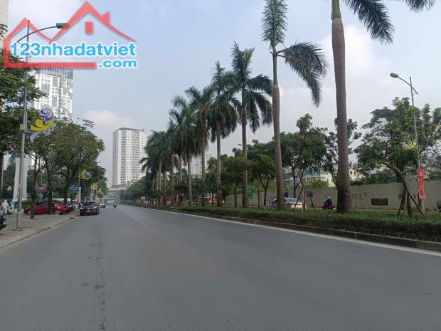 Biệt thự xây thô 4 tầng ĐTM Văn Phú, DT 240m2, MT 12m, 39.5 tỷ Hà Đông - 4
