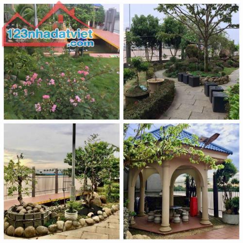 HOT HOT- SIÊU PHẨM BĐS NGHỈ DƯỠNG Hơn 1000m2 View Bờ Sông Tại Bình Hòa, Vĩnh Cửu, Đồng Nai - 3
