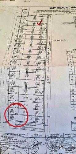 Bán lô đất 118,7m2 ngang 7,5m đấu giá Tam Kiệt Hữu Bằng Kiến Thụy Hải Phòng - 2
