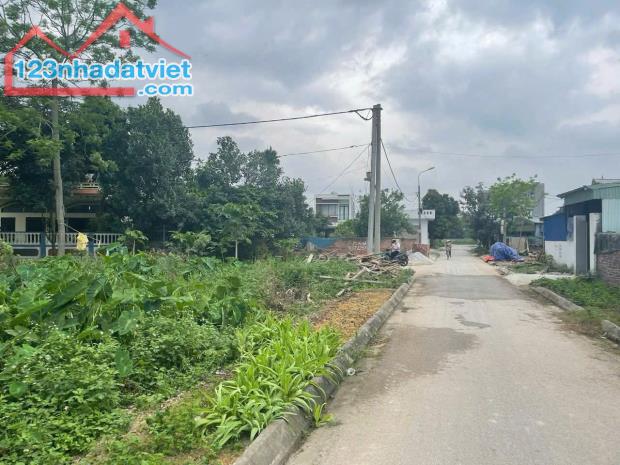 Bán lô góc 171m2 ngang 9,7m Kim Đới 2 Hữu Bằng Kiến Thụy giá chỉ hơn 11 triệu - 2