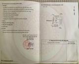 Bán lô đất 118,7m2 ngang 7,5m đấu giá Tam Kiệt Hữu Bằng Kiến Thụy Hải Phòng